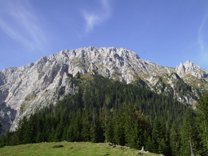 Berg